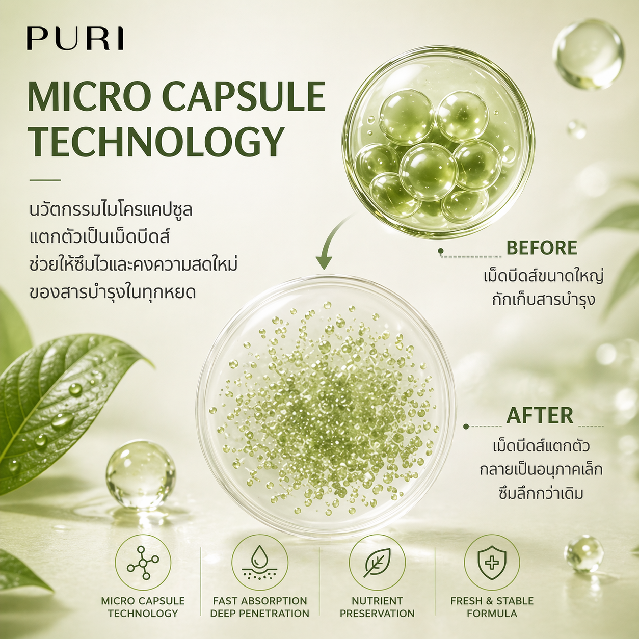 Duo Matcha PDRN SET