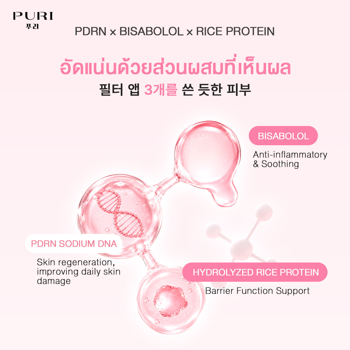 Reju Eye Patch 10 ชิ้น & มาส์กฟื้นฟูผิว PDRN 10 ชิ้น
