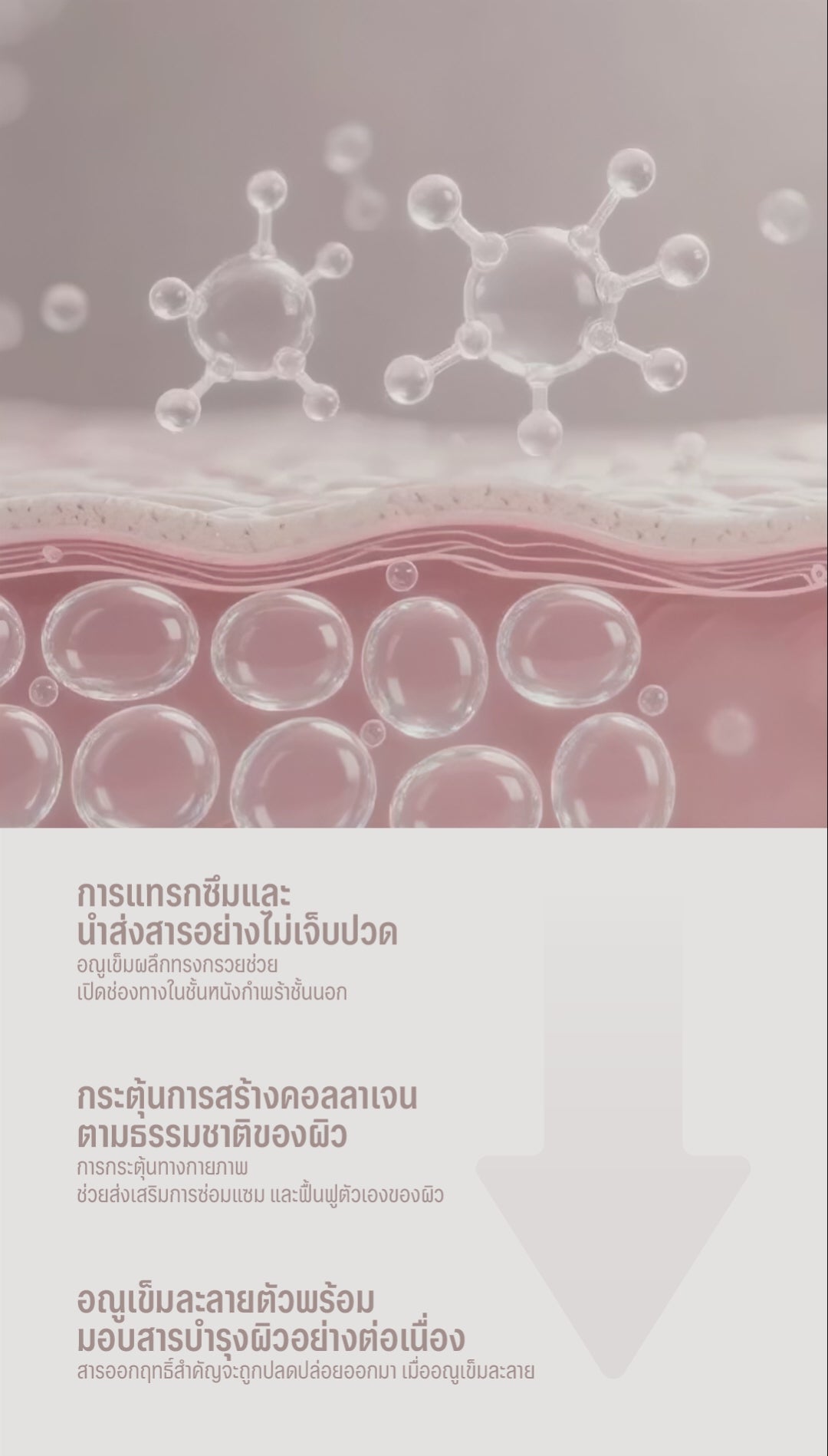 โหลดวิดีโอ: 
