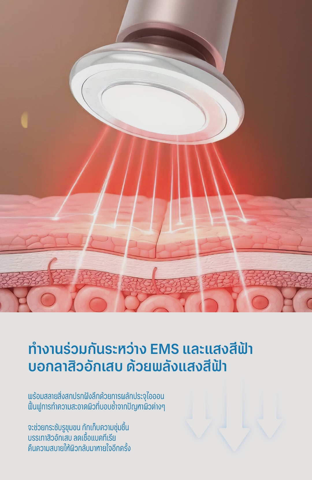 โหลดวิดีโอ: 