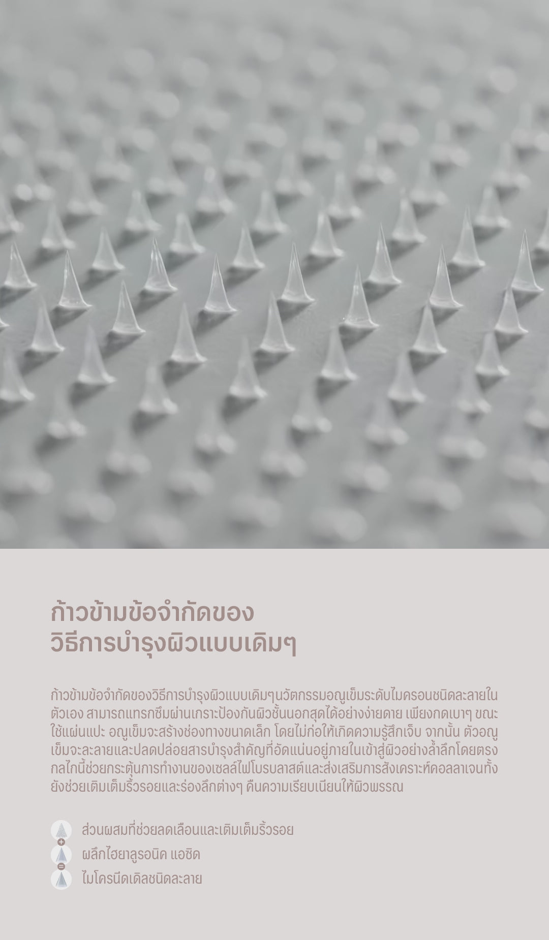 โหลดวิดีโอ: 