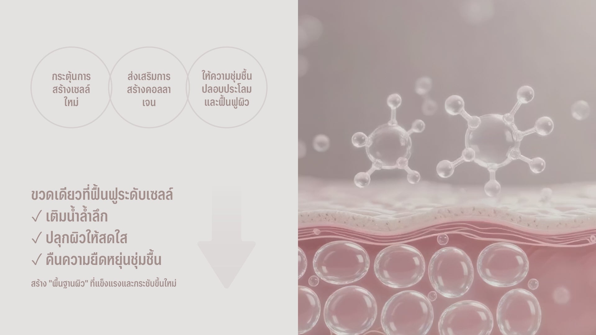 โหลดวีดีโอ: 