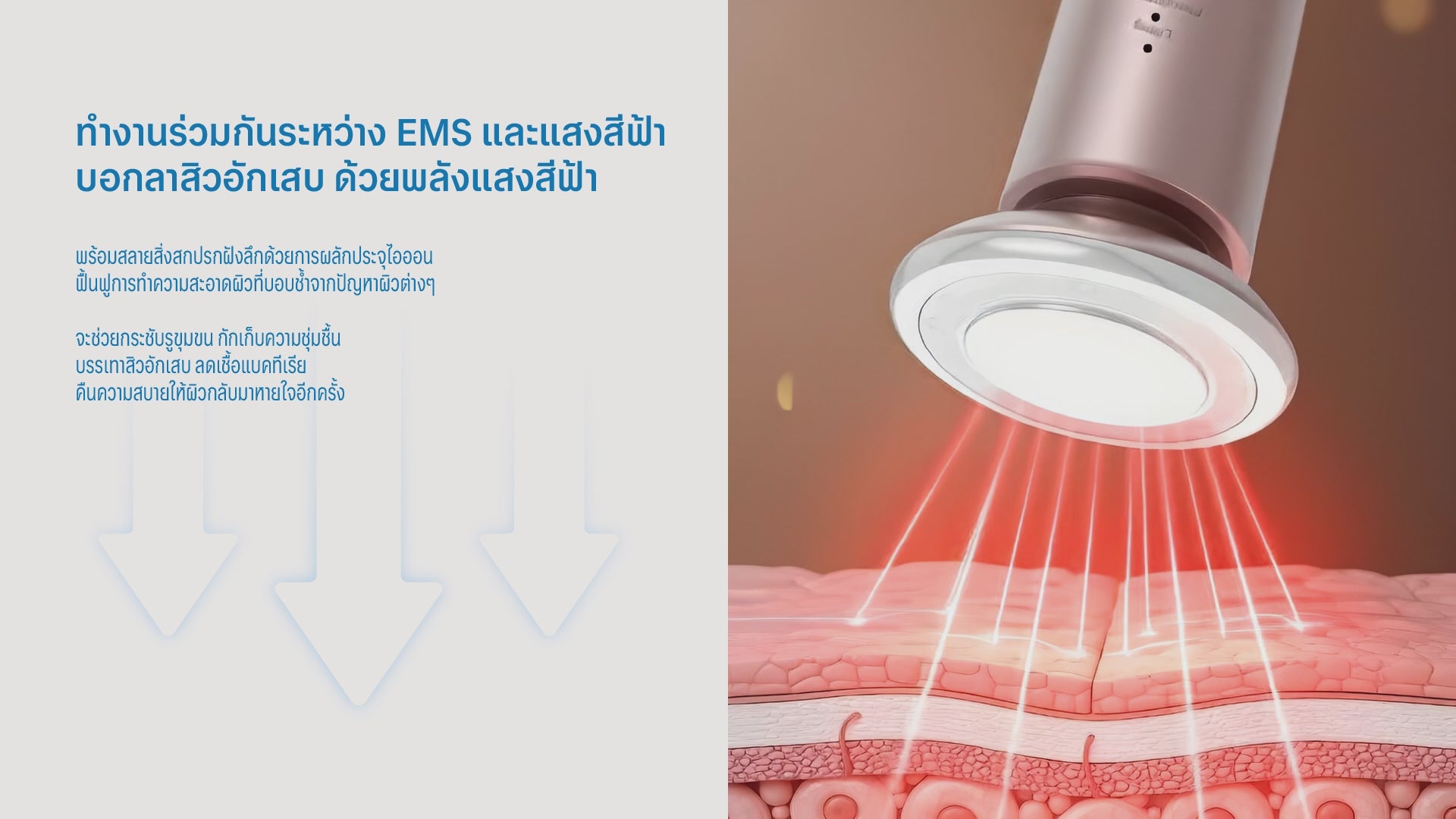 โหลดวิดีโอ: 