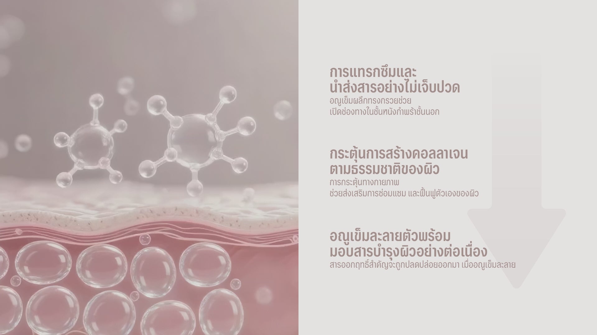โหลดวิดีโอ: 