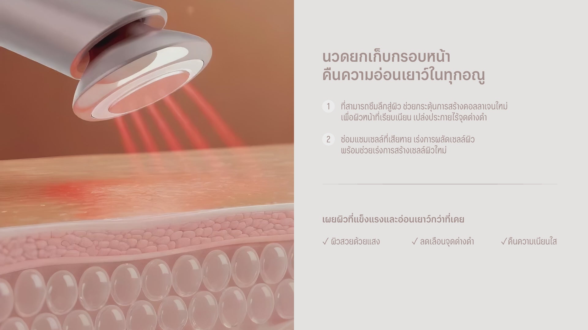 โหลดวิดีโอ: 
