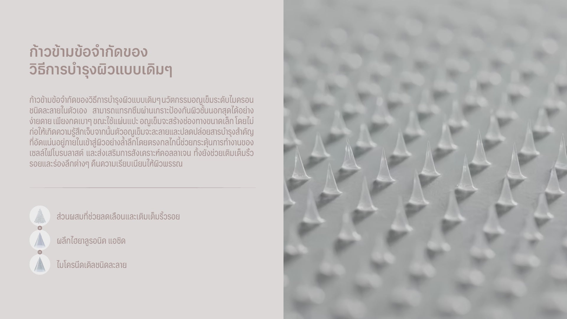 โหลดวิดีโอ: 
