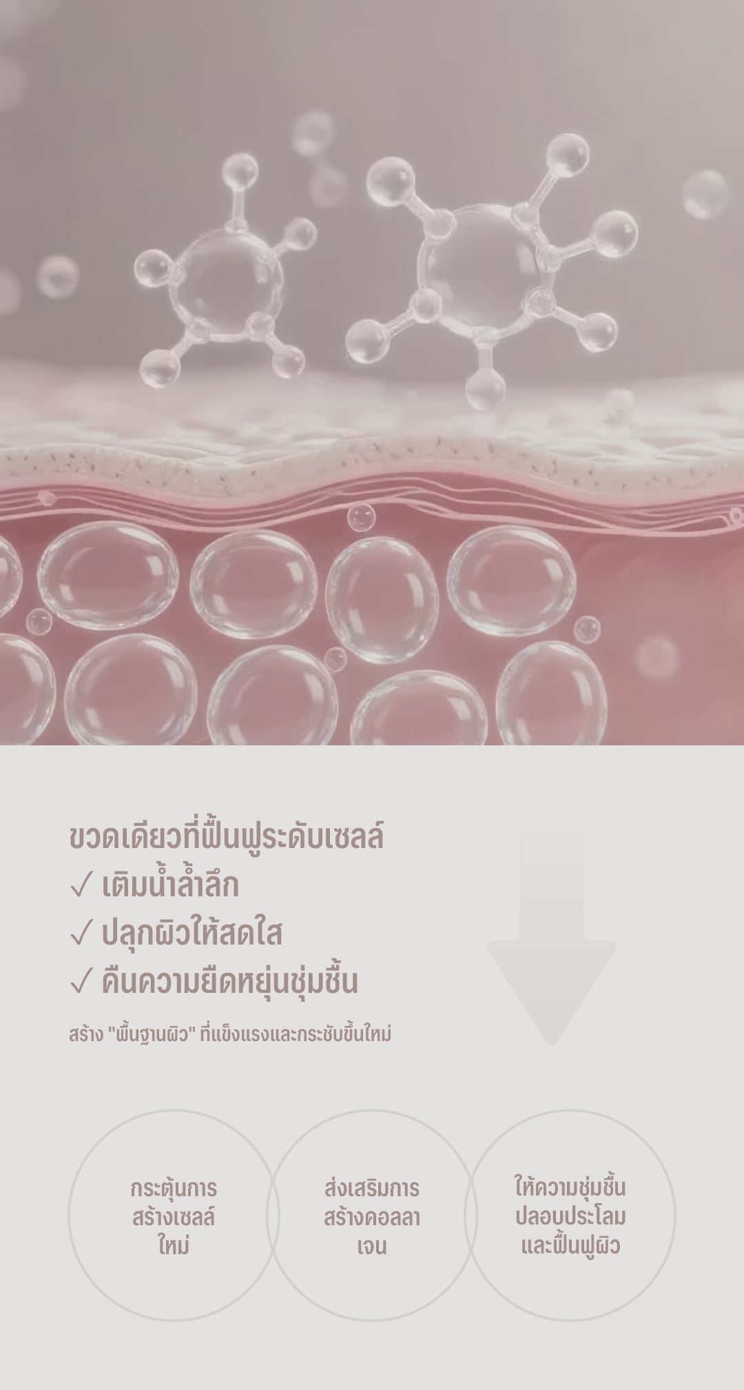โหลดวีดีโอ: 