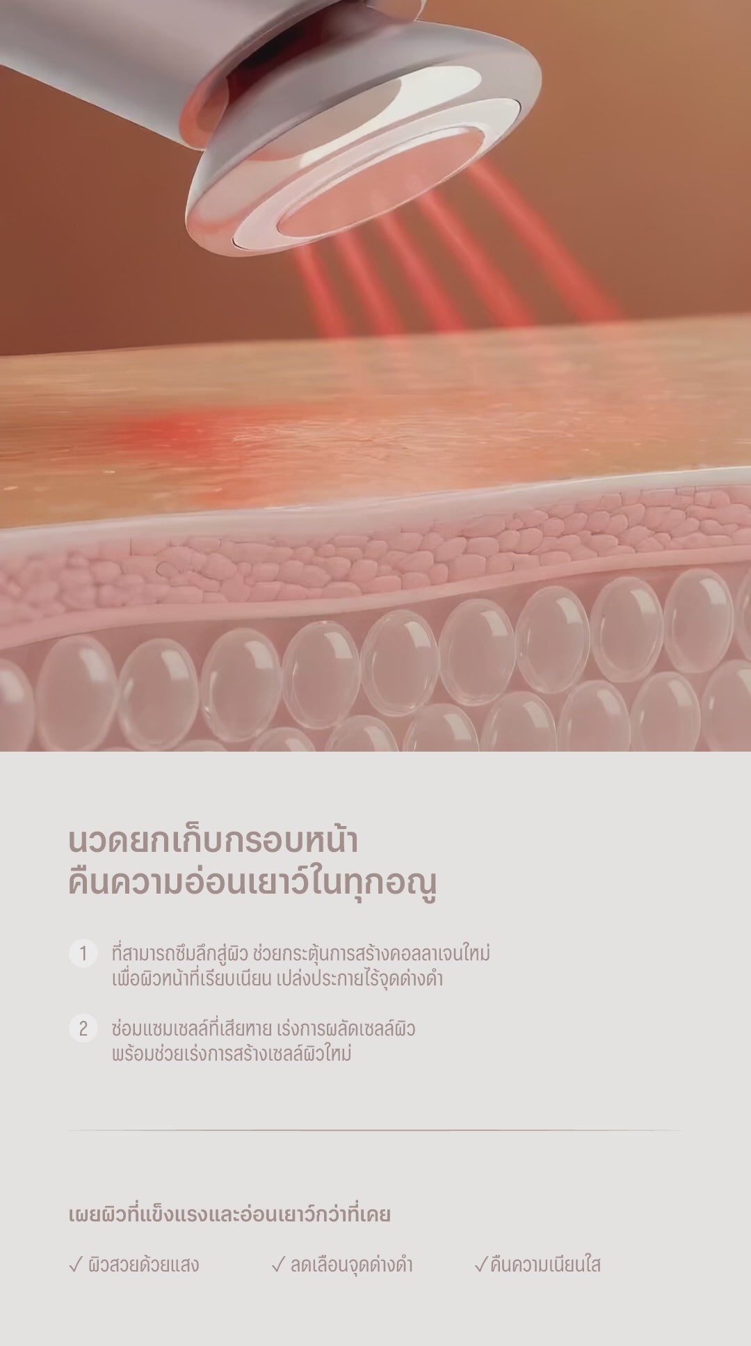 โหลดวิดีโอ: 
